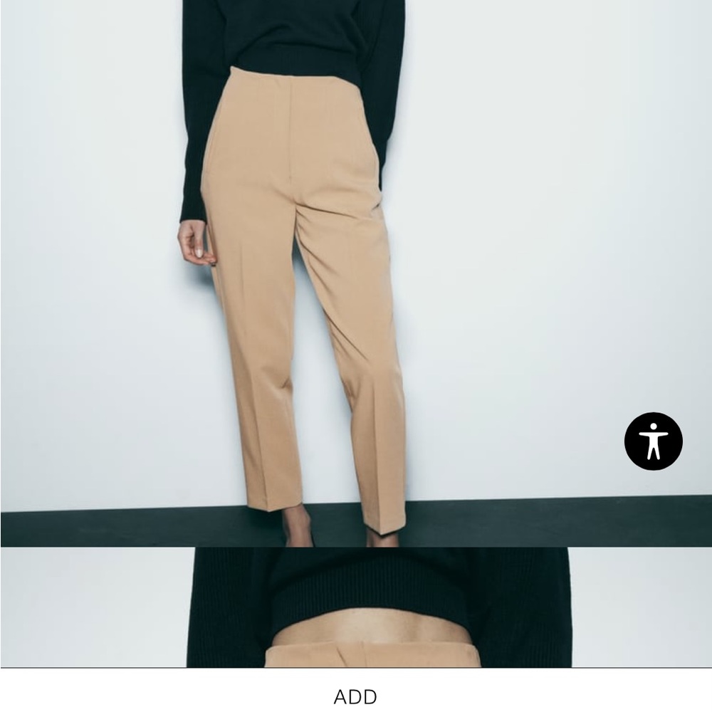 Zara High Waisted Pant